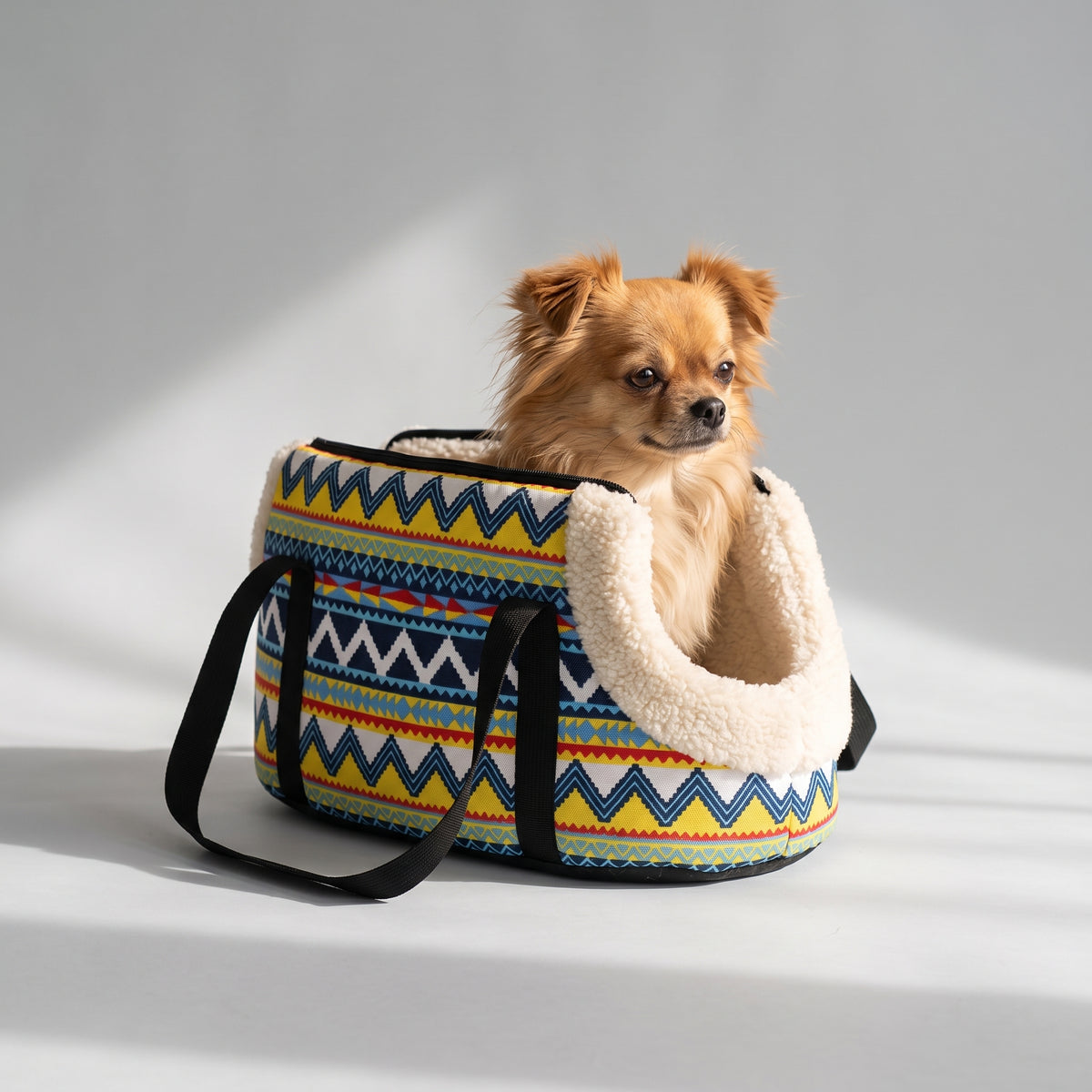 Small Dog Carry Bag with a chihuahua, studio photo