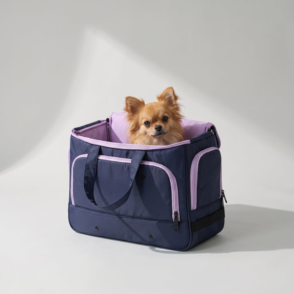 Small Dog Carry Bags with a chihuahua, studio photo