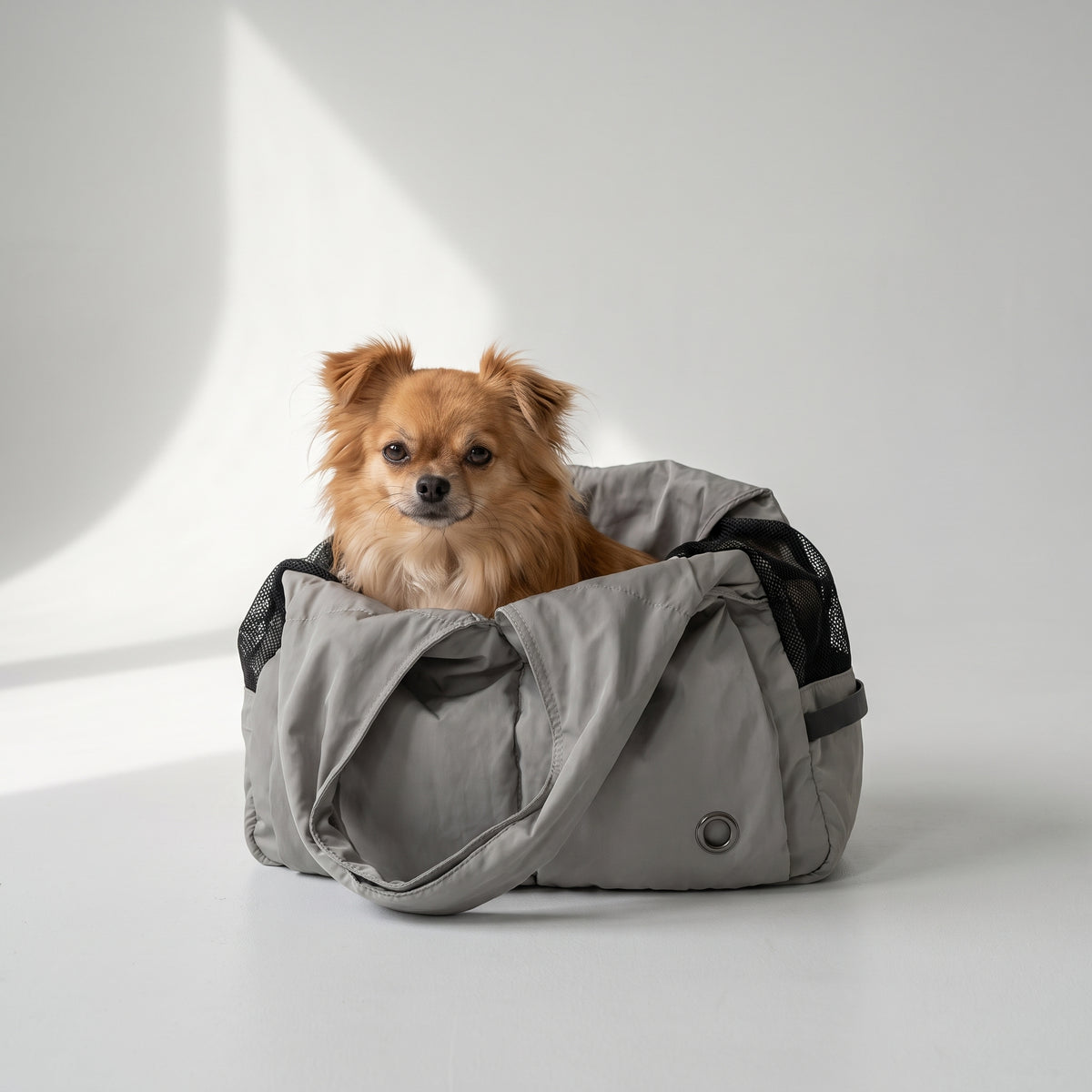 Small Dog Carrying Sling with a chihuahua, studio photo