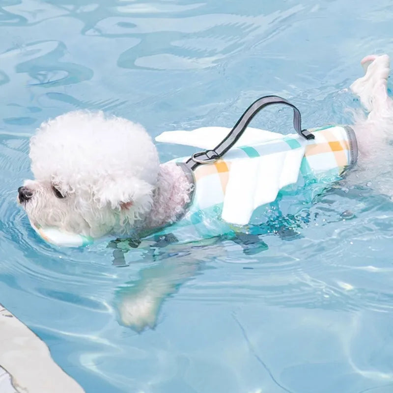 Small Dog Life Jacket