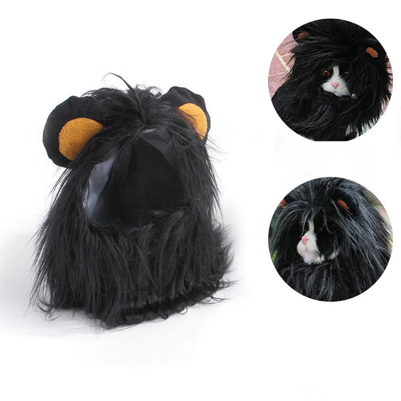 Small Dog Lion Costume in Black