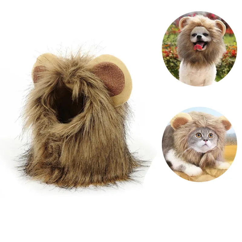 Small Dog Lion Costume in Brown