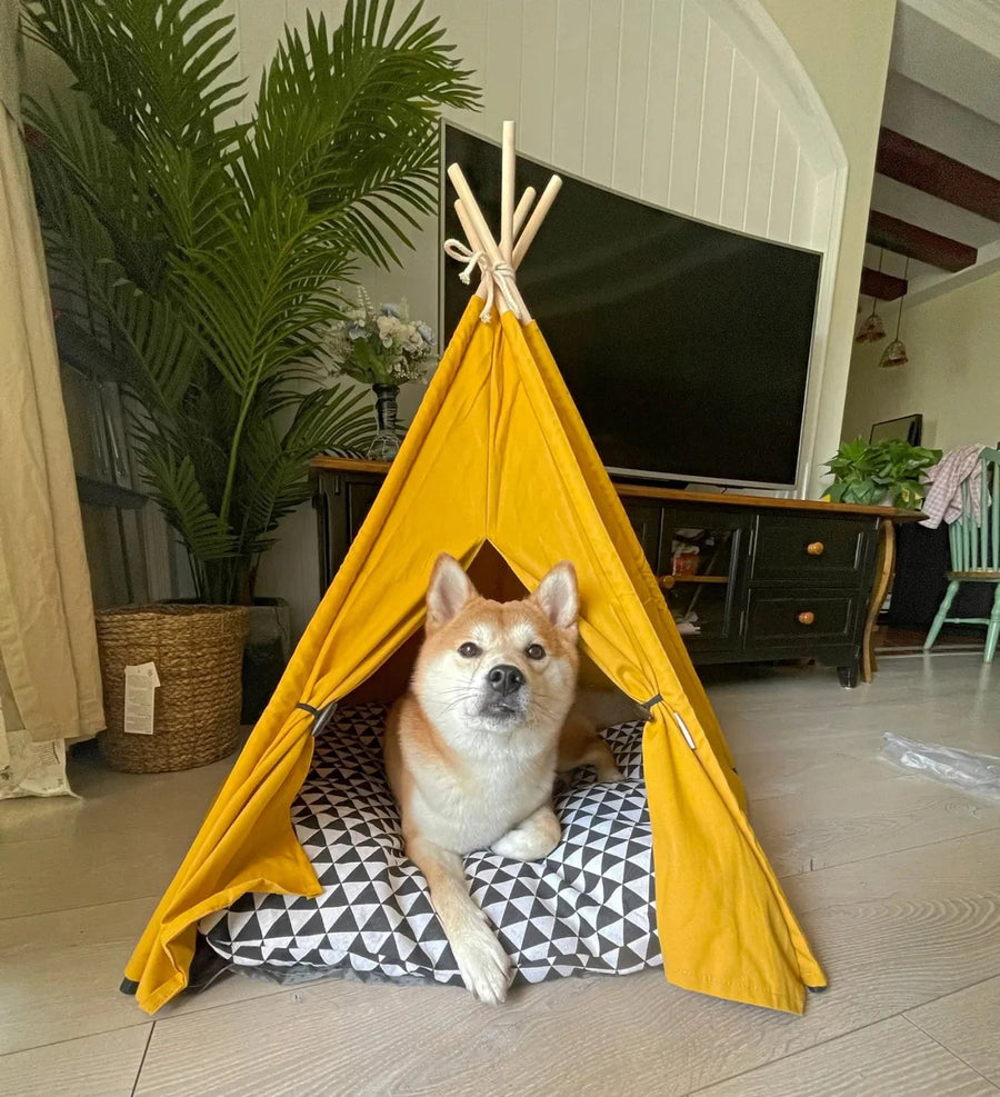 Stylish and Functional Design: The tent bed isn't just comfortable; it's also a trendy addition to your home decor. With its elegant wooden poles, chic blackboard, and a decorative fixed wooden ball, this bed doubles as a delightful piece of home decor, enhancing the aesthetic of any room.