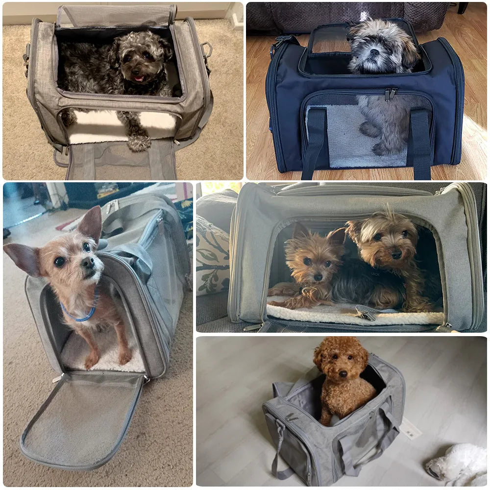 Small Travel Dog Carrier Bag