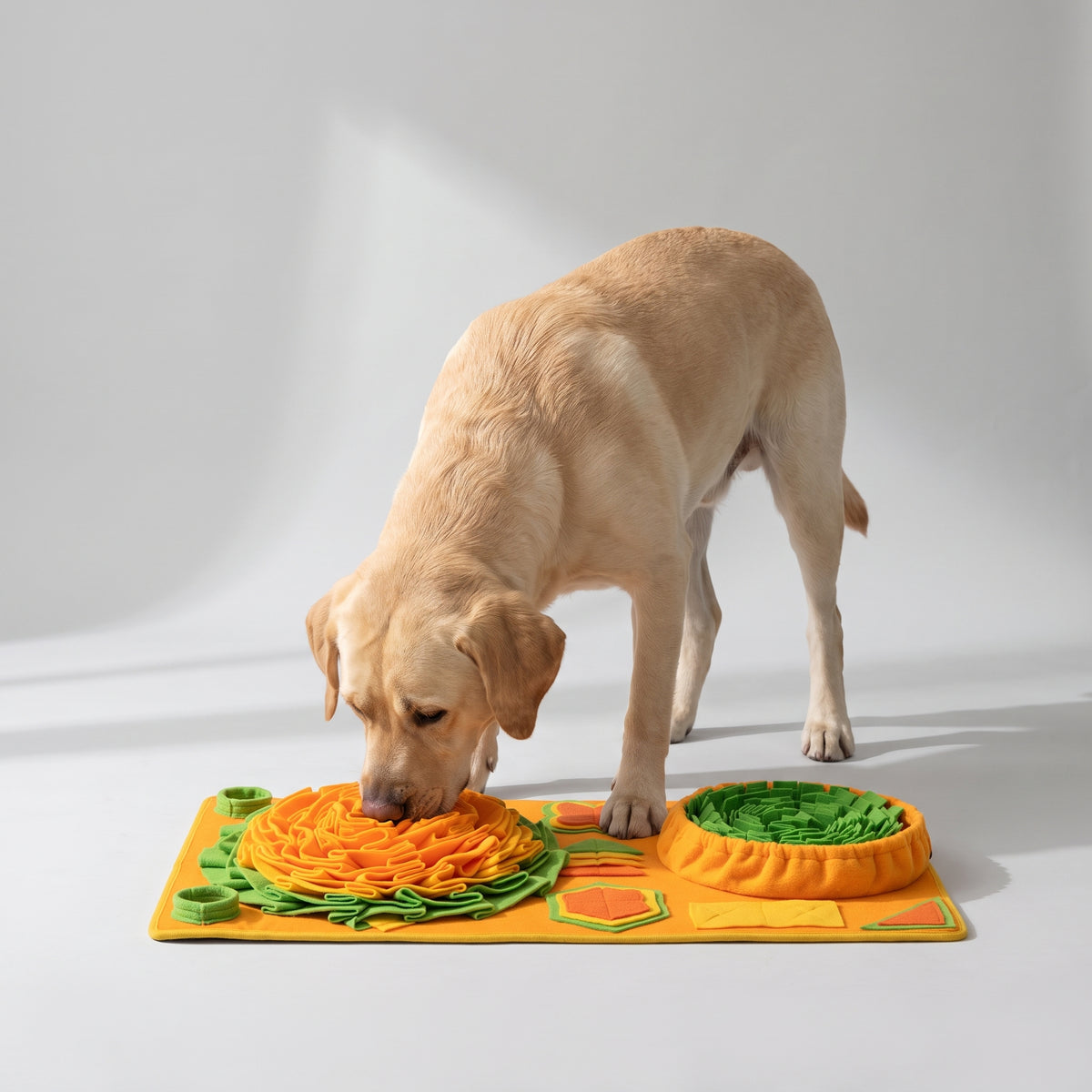 Snuffle Mat For Large Dogs with a Labrador, studio photo