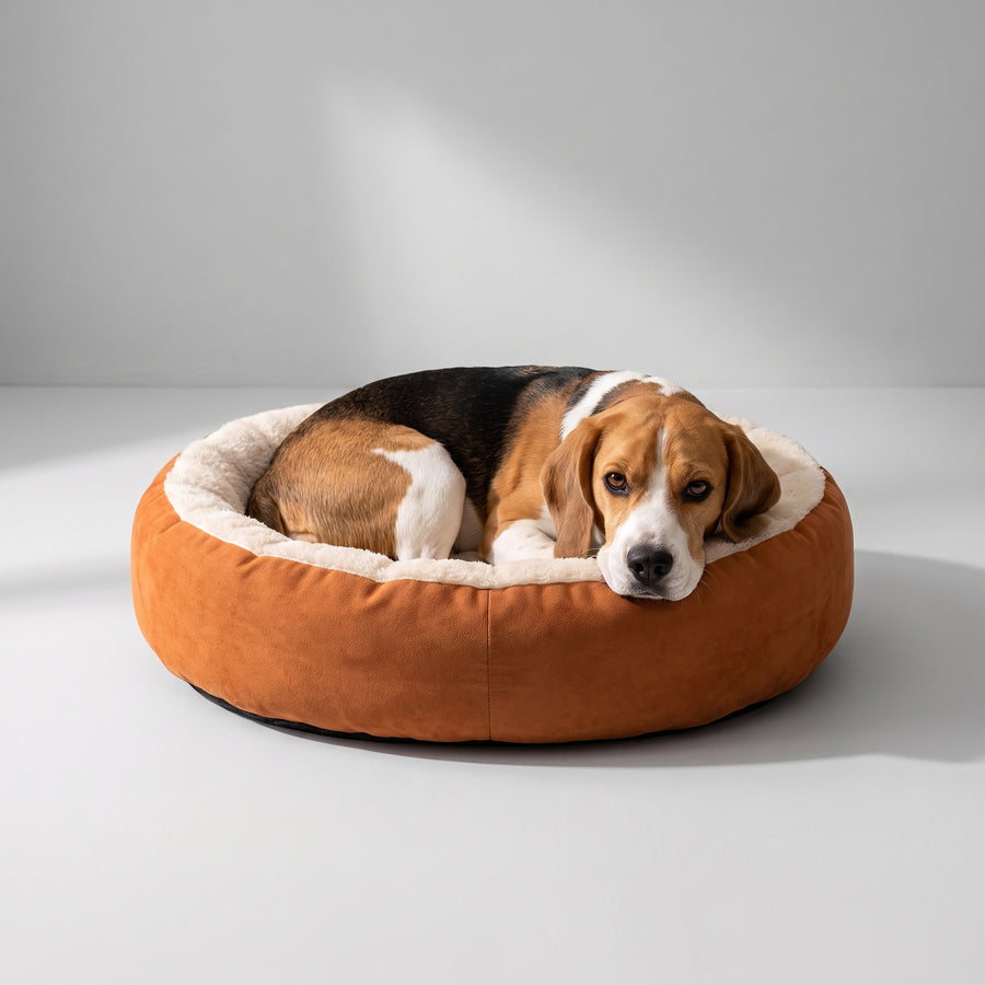 Material: Made with 100% Cotton, this dog bed offers a soft and warm surface for your furry friend.