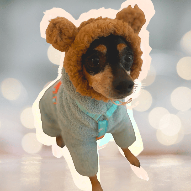 Soft Fluffy Dog Hat