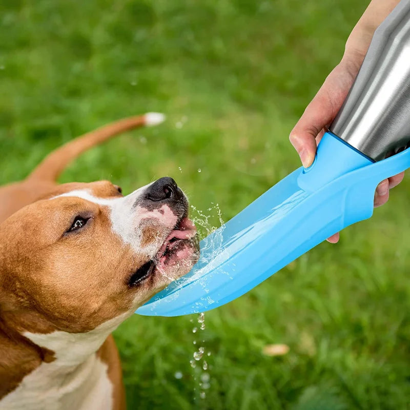 750 ml capacity: enough water for you to share with a thirsty dog.