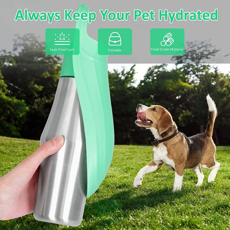 Stainless Steel Dog water Bottle