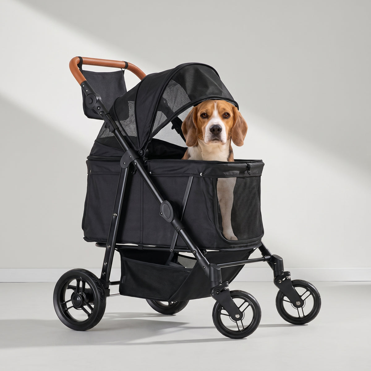 Black Folding Dog Stroller, Easy to Steer with a beagle, studio photo