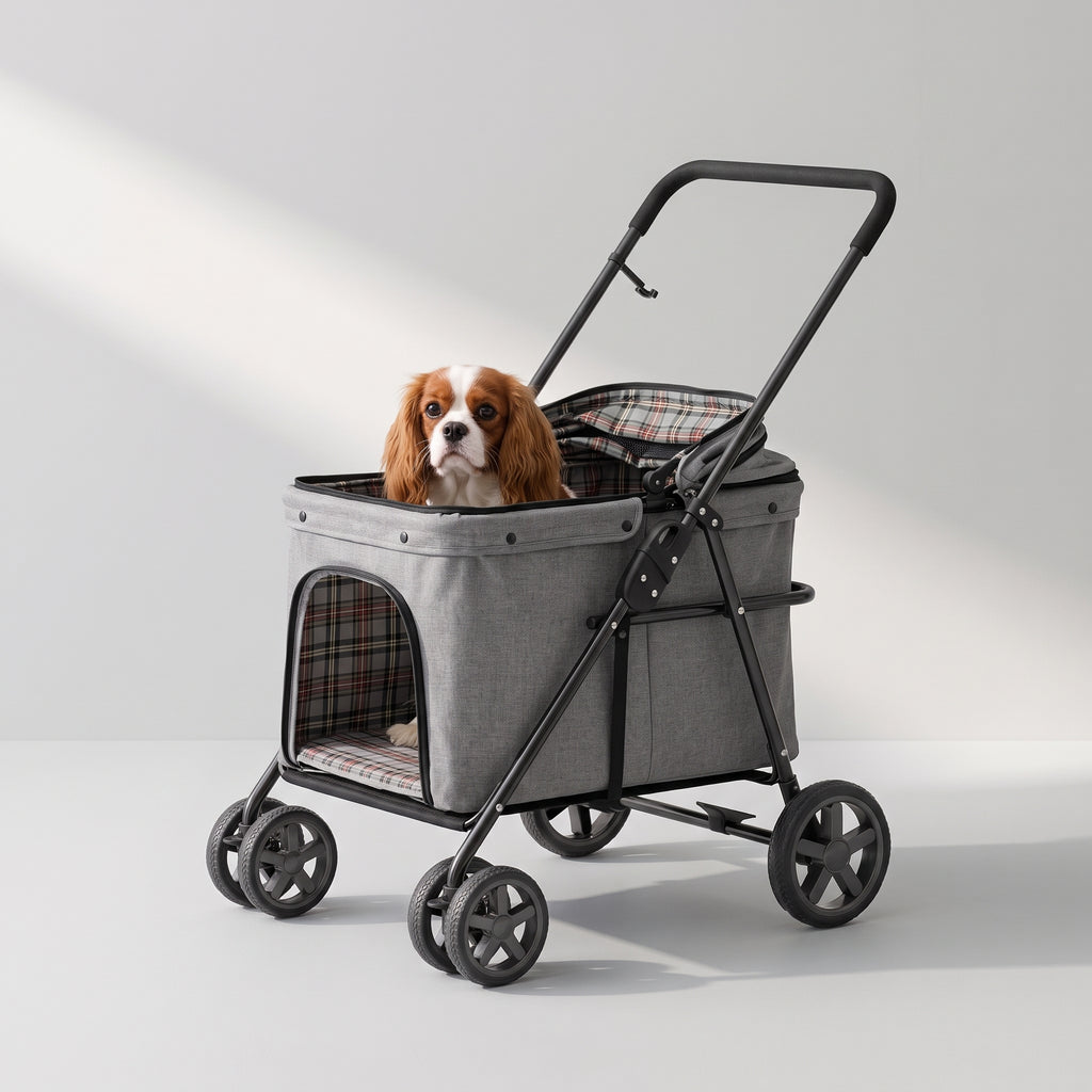 Dog Stroller for Walks and Travel with a Cavalier King Charles, studio photo