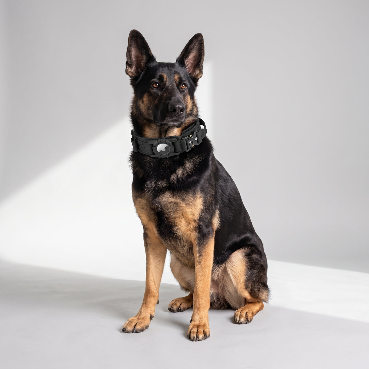 Tactical Dog Collar with Tracker Holder with a German Shepherd, studio photo