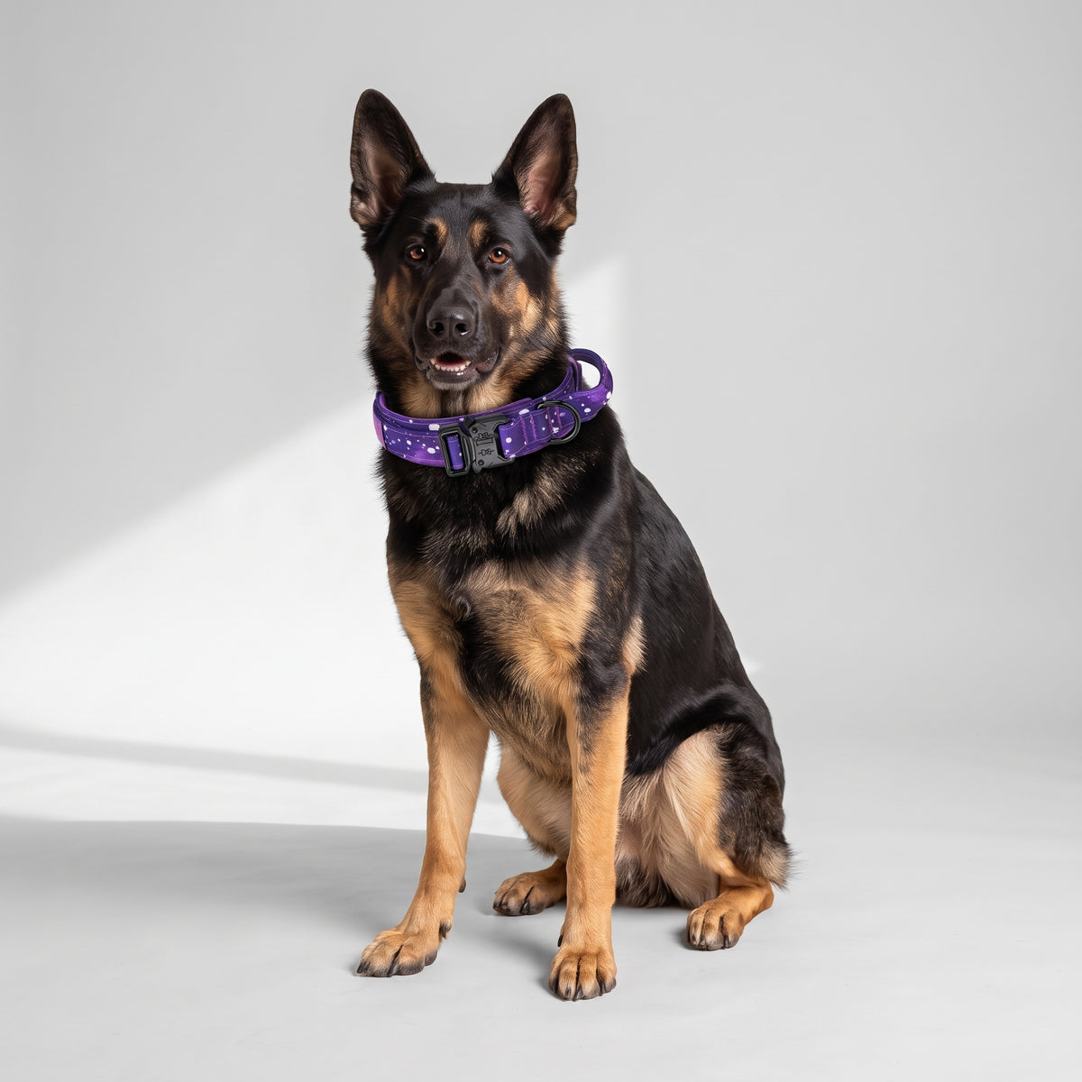 Heavy Duty Tactical Dog Collar and Leash Set with a German Shepherd, studio photo