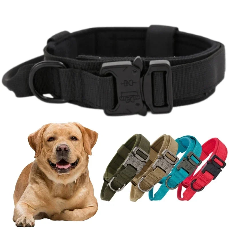 Tactical Dog Collar｜BestGear®
