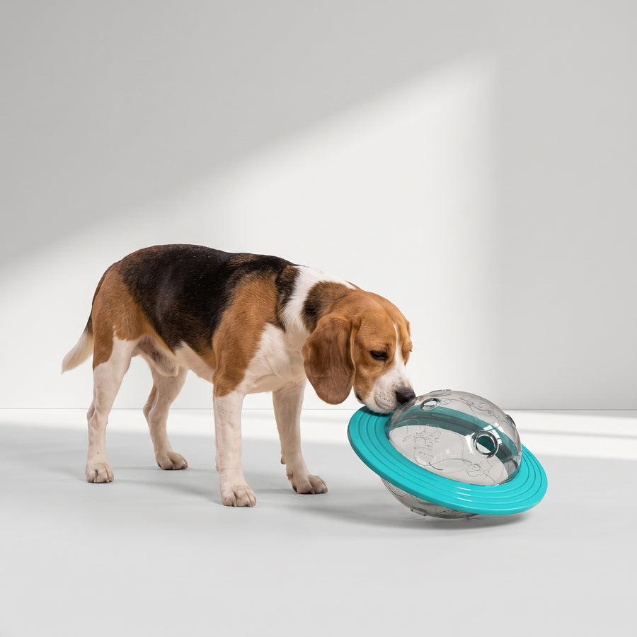 Interactive Toys: Keep your dog entertained and mentally stimulated with this interactive treat toy.