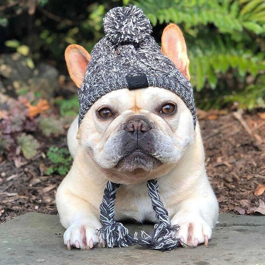 Extra Warmth: This adorable beanie comes with a soft and playful pom pom, adding an extra touch of cuteness to your dog's winter outfit.