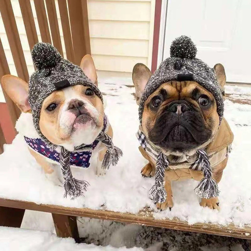 Warm Dog Beanie