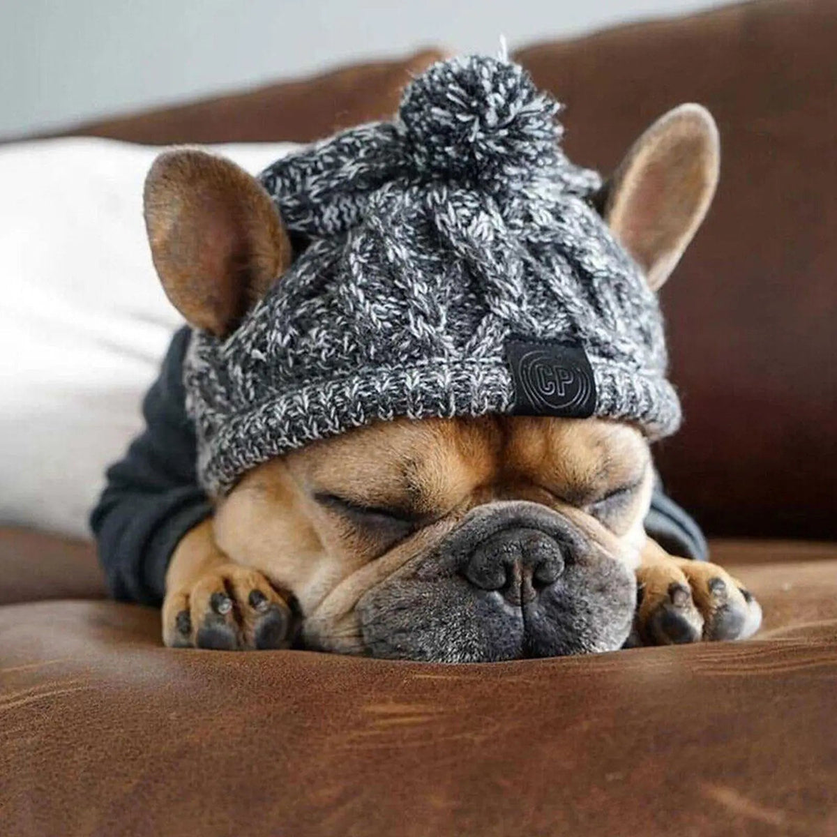 Warm Dog Beanie