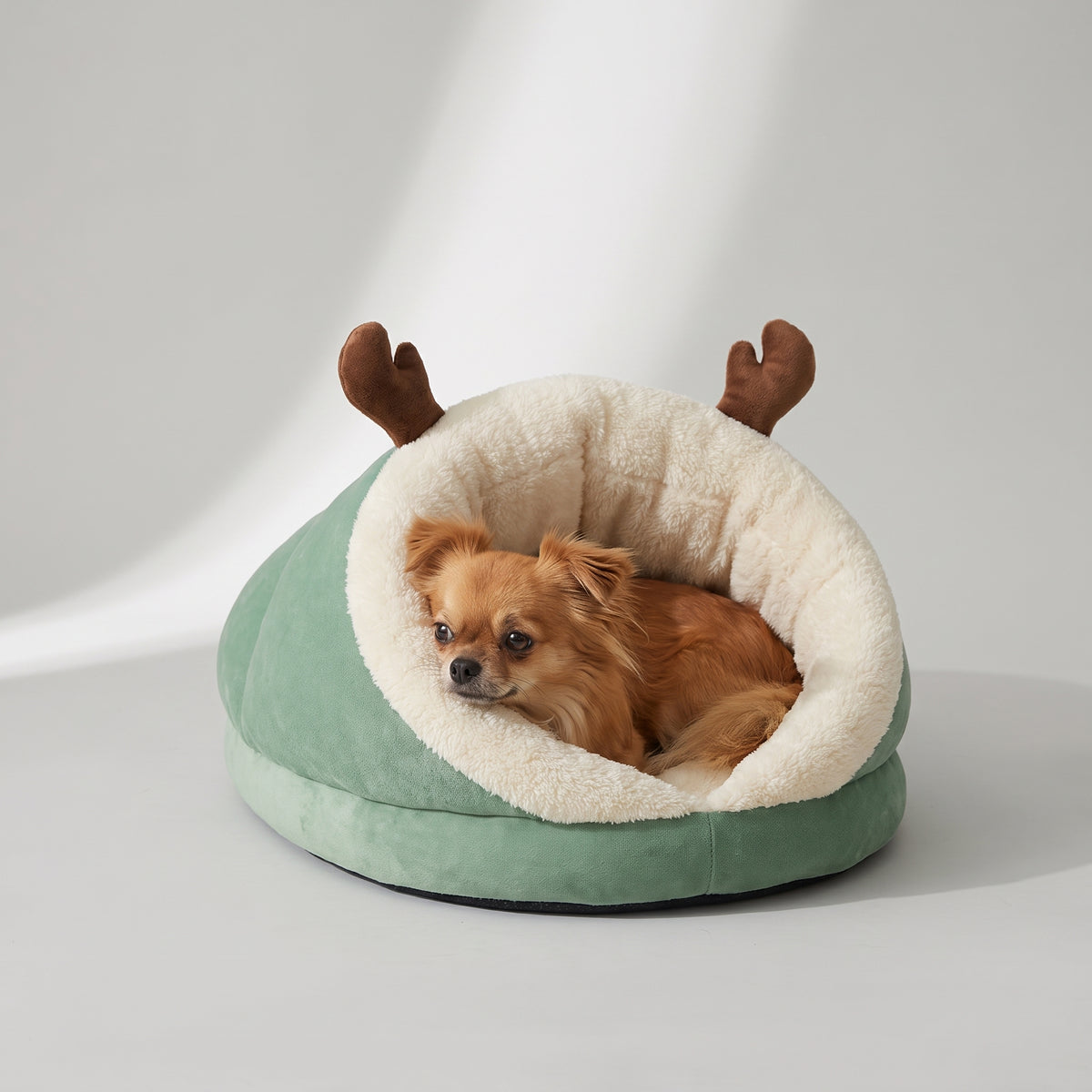 Warm Dog Bed For Small Dog with a chihuahua, studio photo