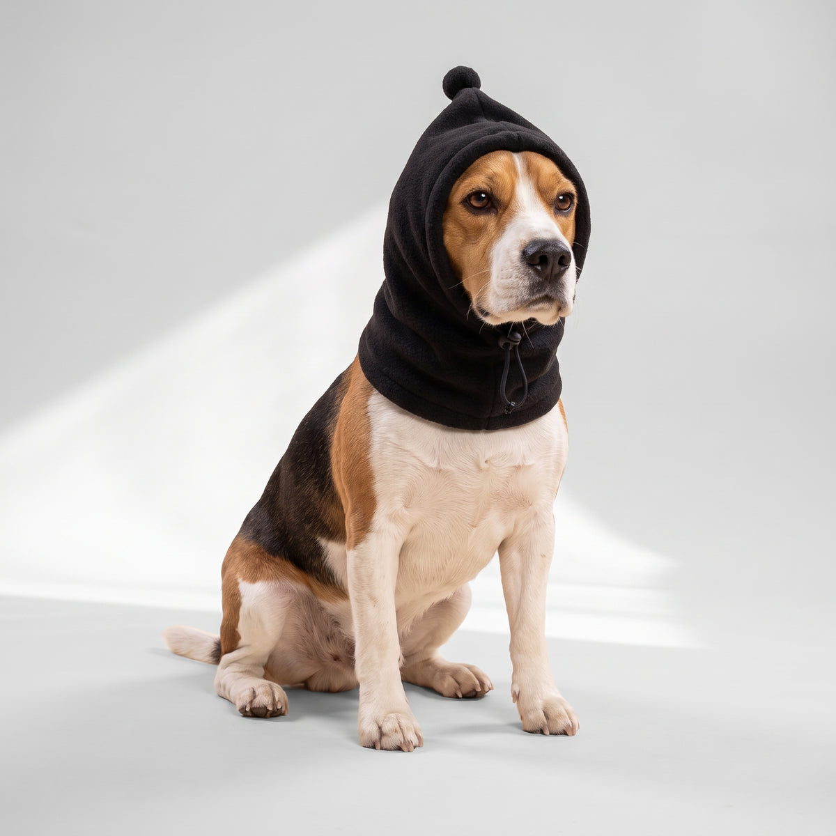 Warm Dog Winter Hat with a beagle, studio photo