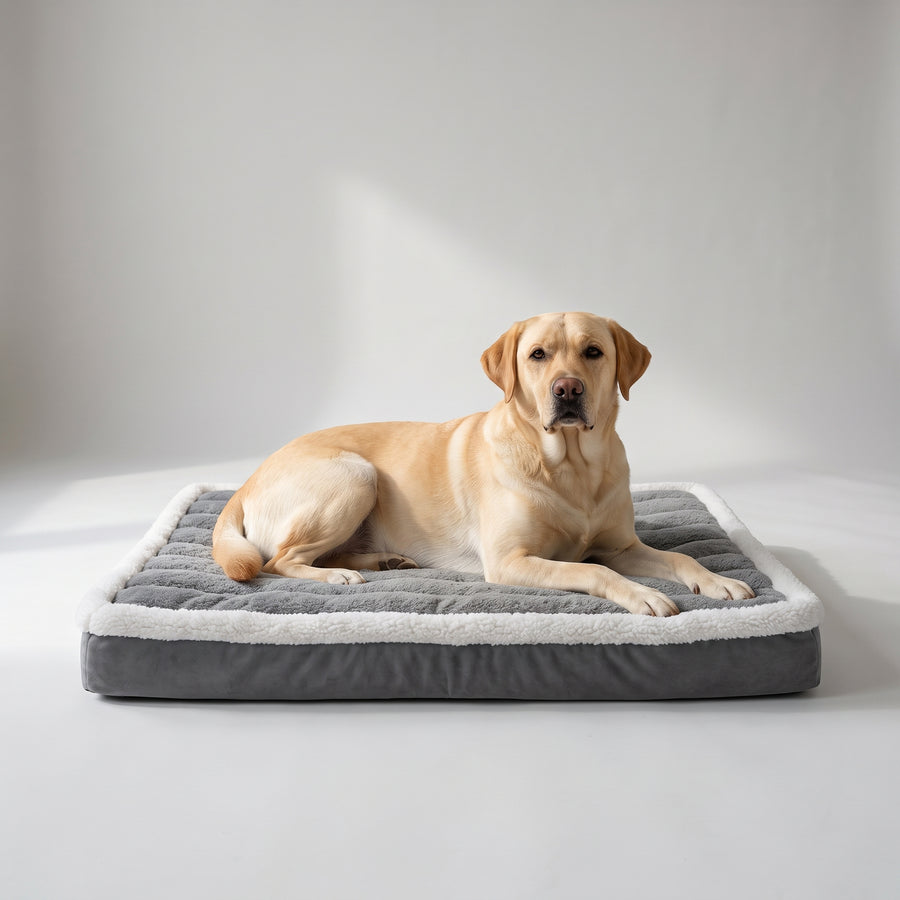 Soft Surface and High-quality Elastic Dog Mats: Your pet will experience ultimate comfort on the soft egg crate foam, providing a cozy resting place.