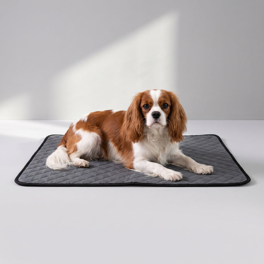 Material: Made from durable Oxford fabric, the Washable Dog Pee Mat is designed to withstand your pet's messes and accidents.
