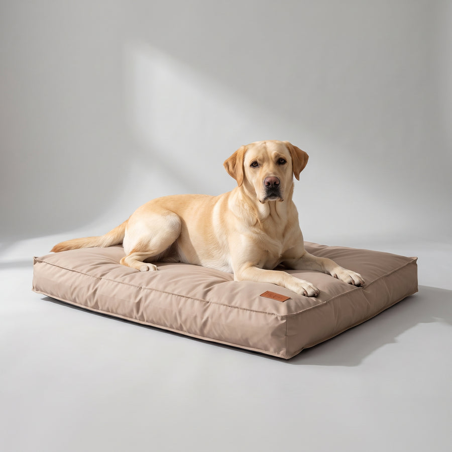 Item Type: Beds