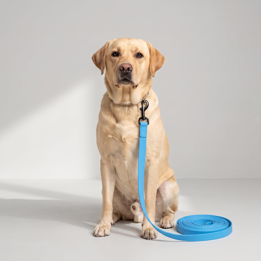 PVC-coated leash: Our dog leash is made of durable PVC material, ensuring it does not collect moisture, musty odors, or dirt like fabric dog chains.
