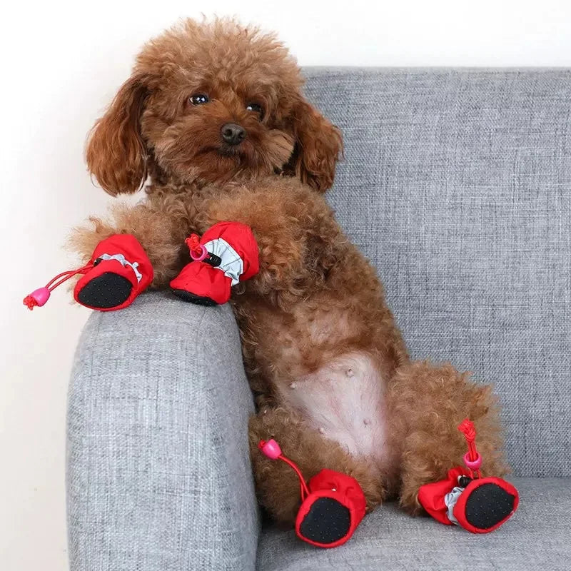 Product: Soft soled shoes provide gentle protection for your dog's paws.