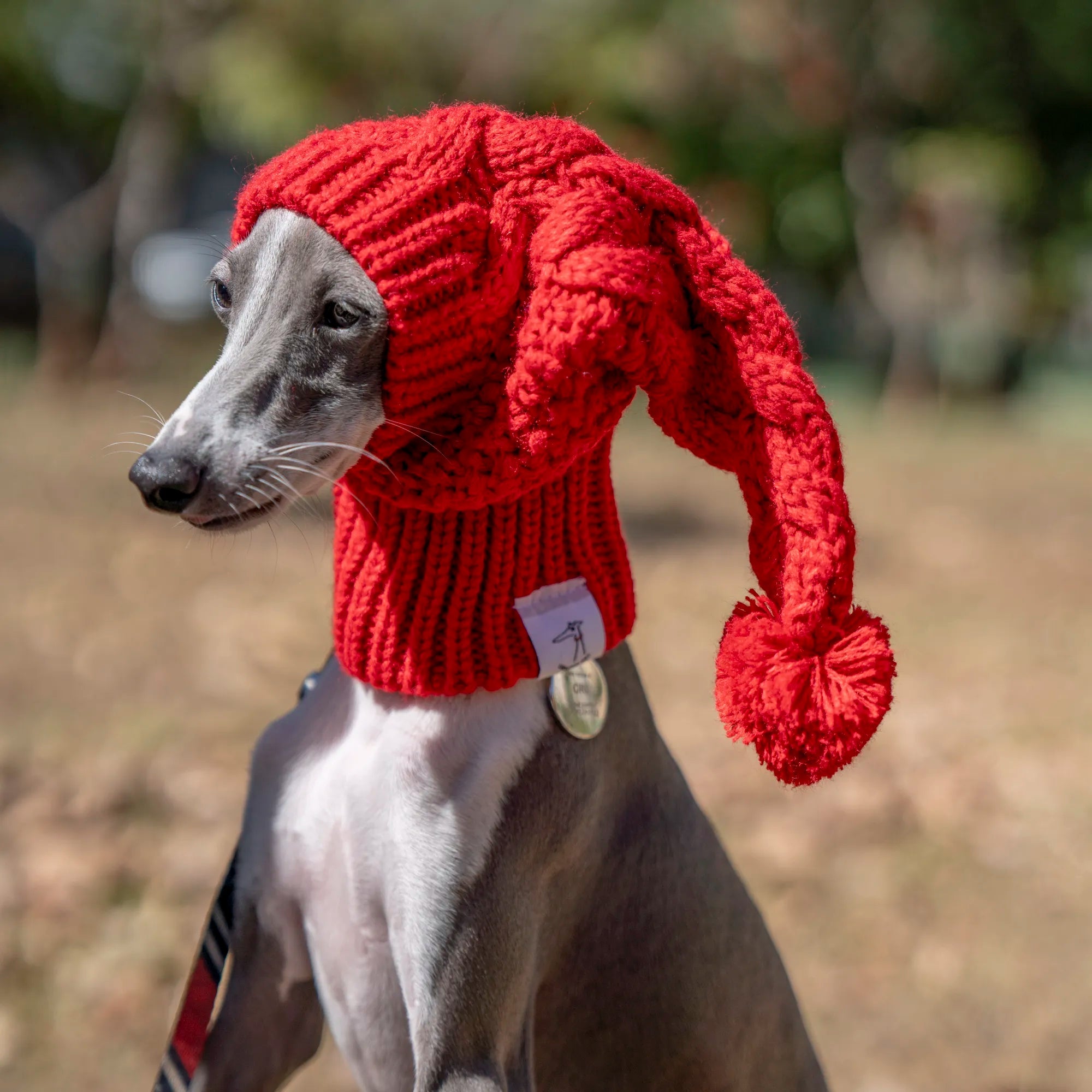 Whippet Dog Hat