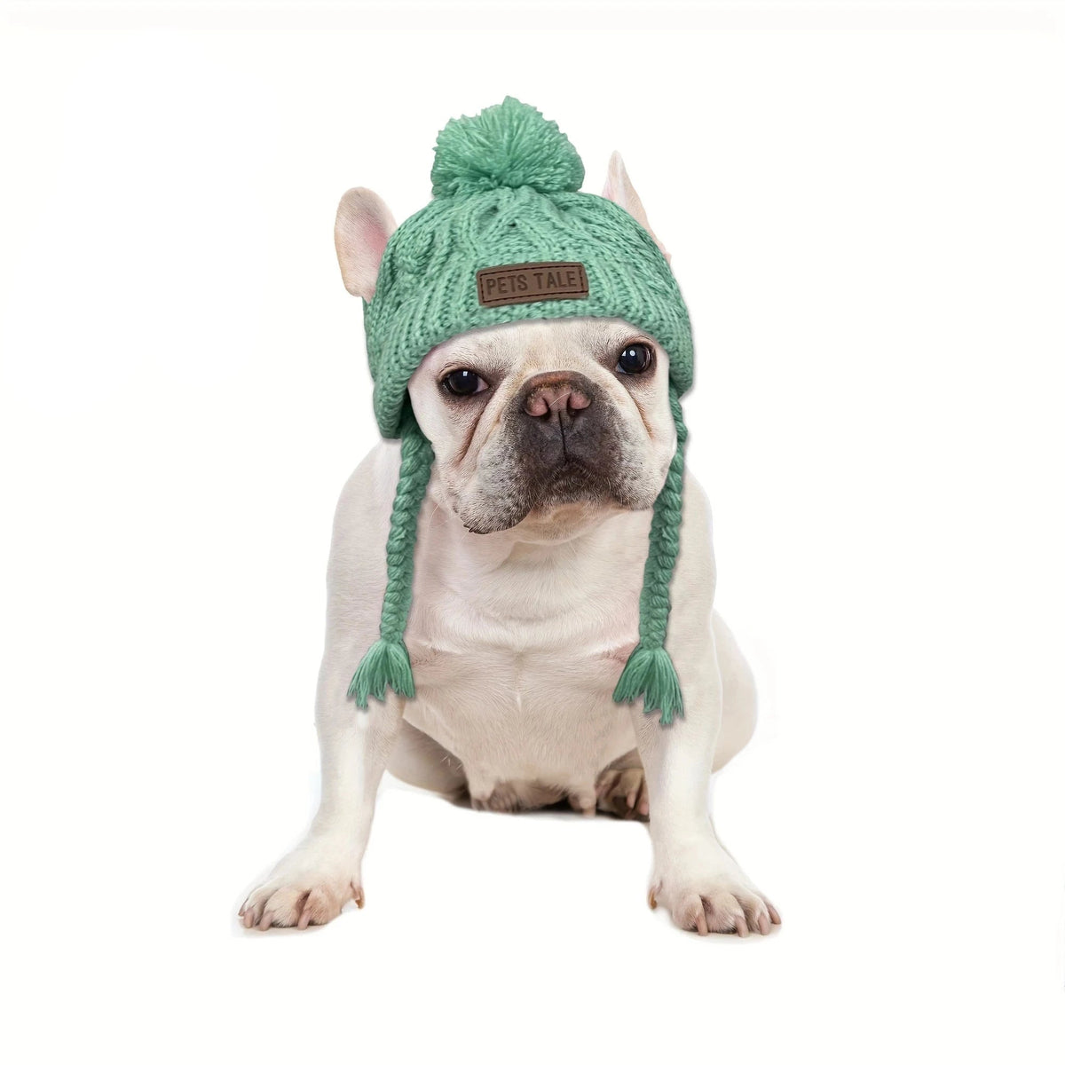 Winter Dog Knitted Beanie in Green