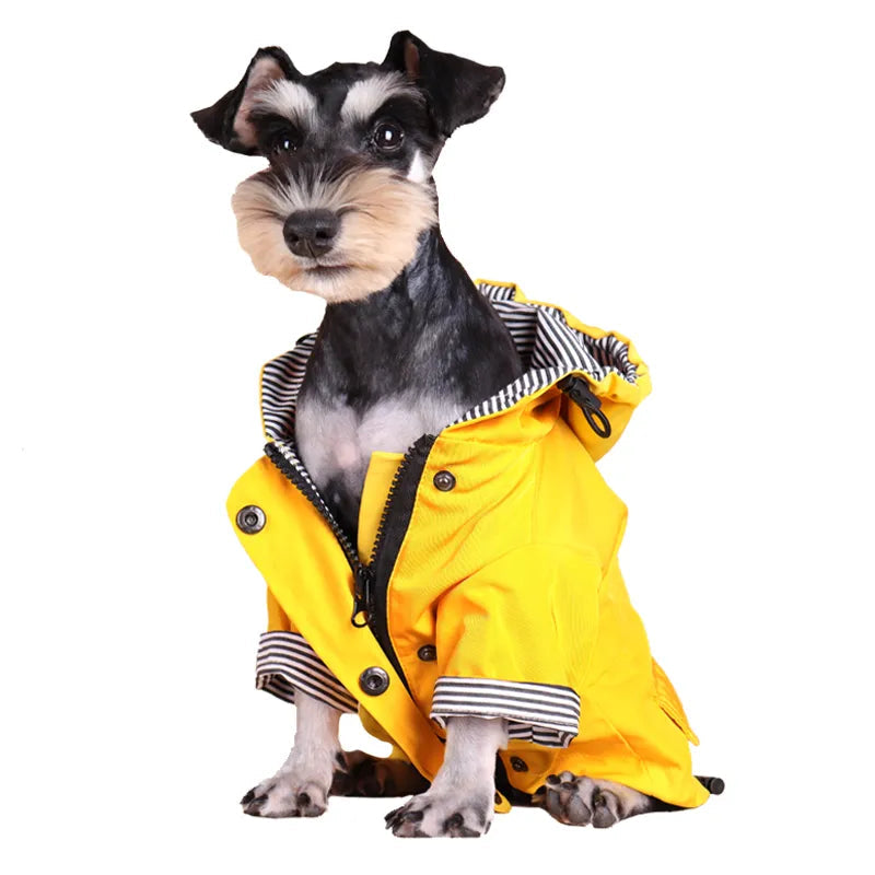 Winter Sailor dog Coat