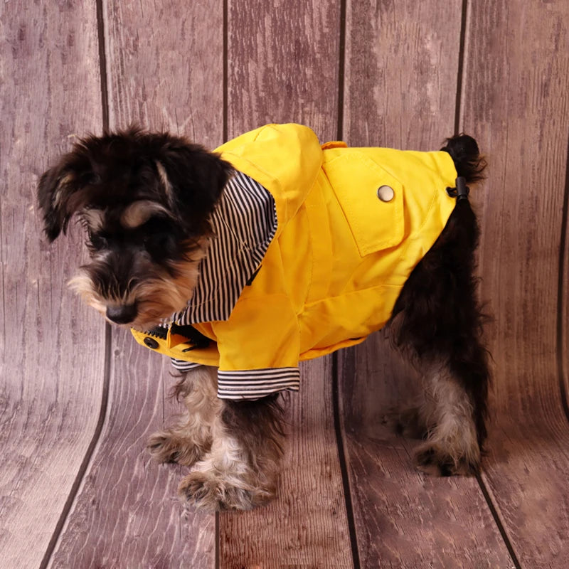 Winter Sailor dog Coat