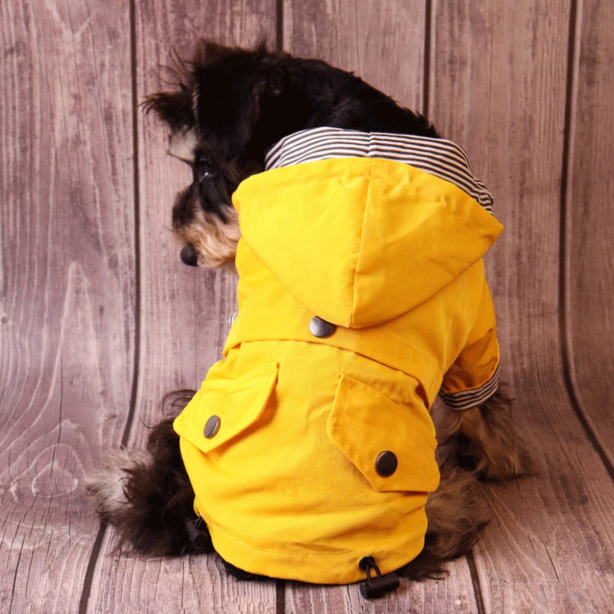 Winter Sailor dog Coat