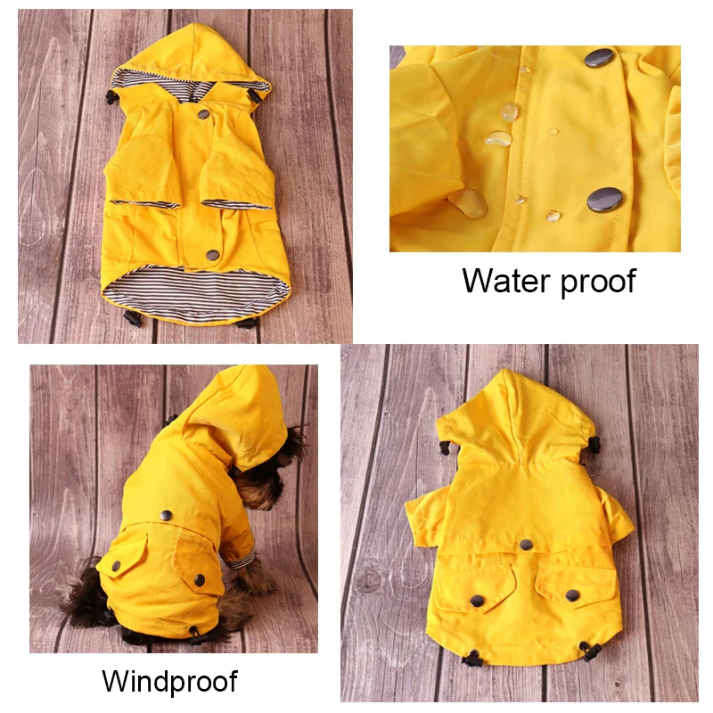 Winter Sailor dog Coat
