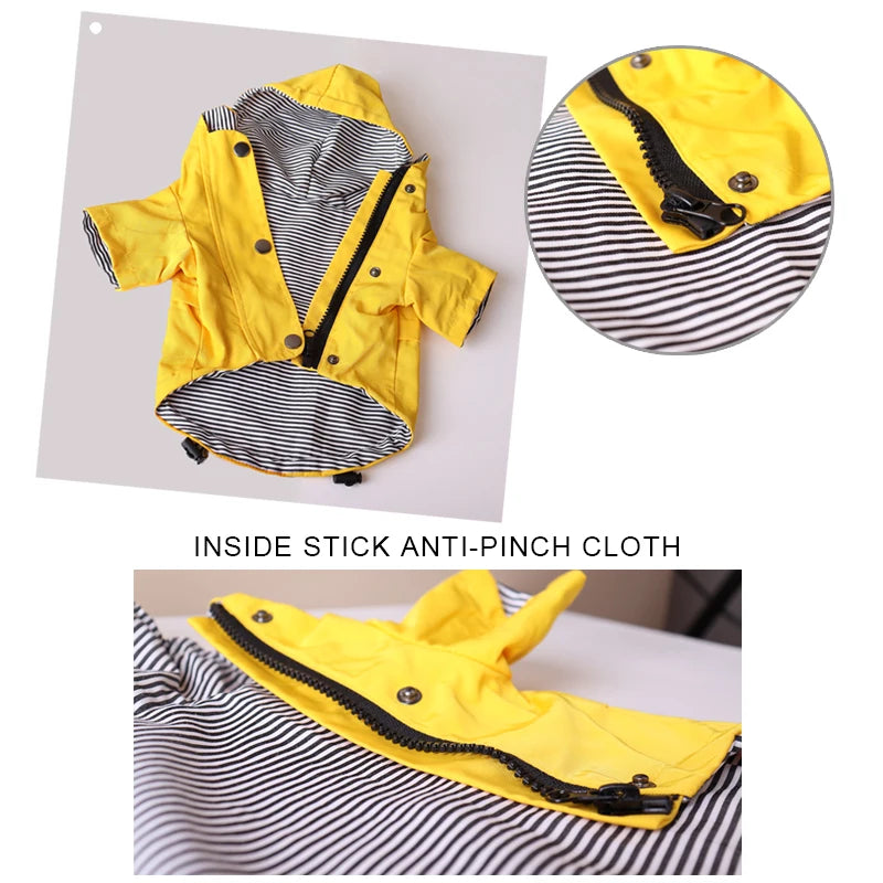 Winter Sailor dog Coat