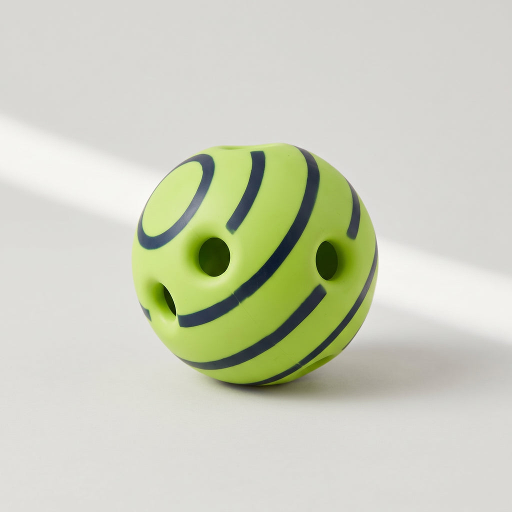 Giggle Sound Interactive Dog Ball, studio photo on a light grey background