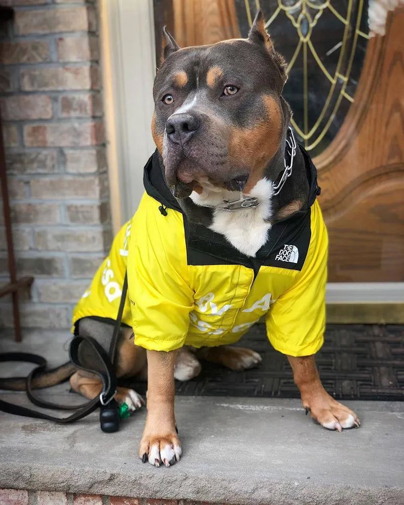 Yellow dog rain Coat